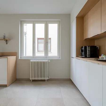 Le Cocon D'Emma, Appartement Bourgeois Avec Terrasse, Et Parking Gratuit Dans Maison De Maitre Apartment