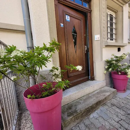 Apartment Le Cocon D'Emma, Appartement Bourgeois Avec Terrasse, Et Parking Gratuit Dans Maison De Maitre Straßburg